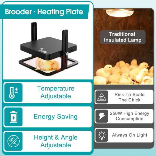 Upgraded Chick Heating Plate with Adjustable Height & Angle, Thermostatic Control Chick Warmer Pad for Enclosed Indoor Space – Ideal for Chicks, Ducklings, Quail, and Birds