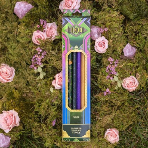 CharCharms (1) 4pk 30oz & (1) 4pk 20oz Water Bottle Straws Wicked 2 Elphaba