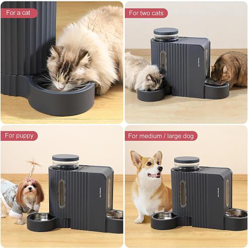 USED ‼️ Gravity Automatic Cat Feeder, Water & Food Dispenser Set, Stainless Bowls