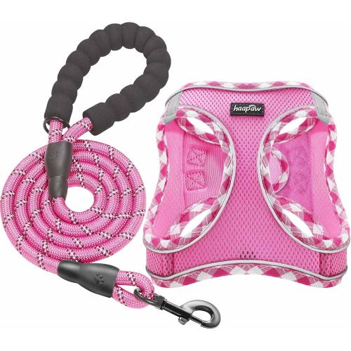 haapaw Dog Harness with Leash Set, No Pull Adjustable Reflective Step-in Puppy Harness with Thickened Padded Vest for Extra-Small/Small Medium Dogs