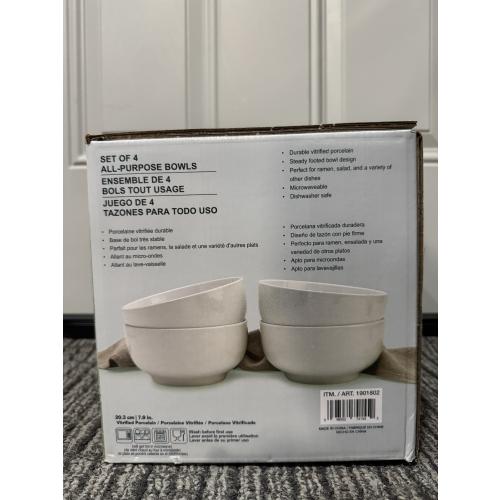 Denmark 4-piece White All Purpose Durable Vitrified Porcelain Bowls Ramen, Salad