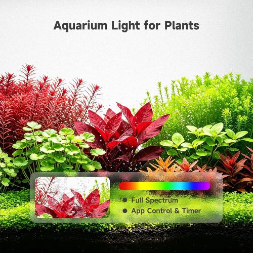 M1 5.3 Gallon Smart Fish Tank, App-Controlled Betta Aquarium Starter Kit | Integrated Lid with Auto Feeder, Full Spectrum LED, Temp Display, Dual Filtration, Quiet Pump for Desktop, White