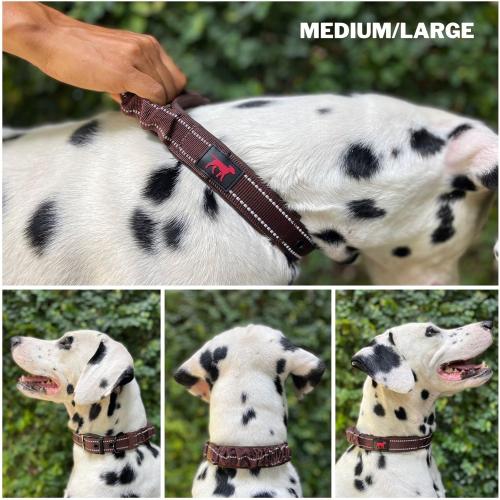Tuff Pupper Heavy Duty Dog Collar with Handle