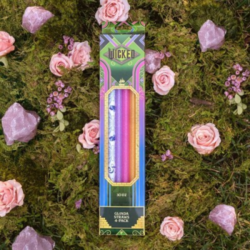 CharCharms (2) 4pk 30oz Water Bottle Straws Wicked 2 Glinda