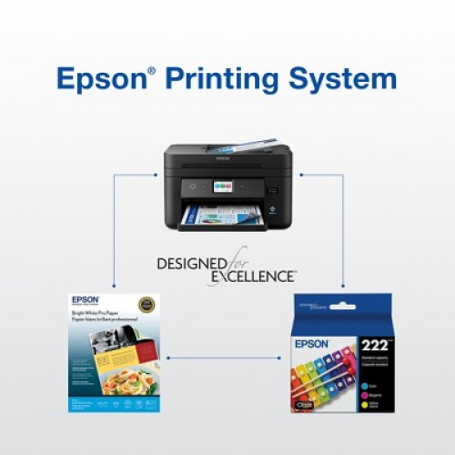 Epson T222 Black and Color Combo Ink Cartridges, Standard Capacity