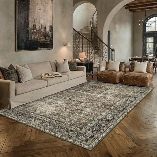 Brown Area Rug 6x9 Vintage Traditional Distressed