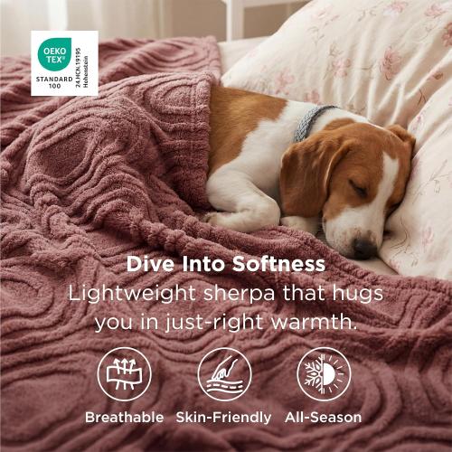 Bedsure GentleSoft Pink Throw Blankets for Women - Super Soft Cozy Modern Decorative Throw Blankets for Girls, Aesthetic Pink Cozy Accent for Couch & Bed, Dusty Rose, 50x60 Inche