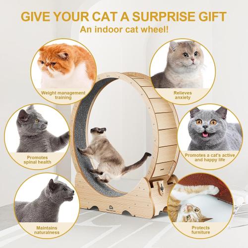 Cat Wheel, 48 XL Large Cats Exercise Running Wheel, Cat Treadmill for Indoor Cats