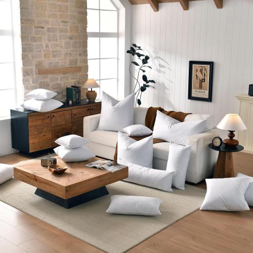 ‼️does have mild stains ‼️basic home® Hotel-Style 20x20 Goose Feather Pillow Insert for Sofa & Bed - 100% Odorless & Plump Cushion Filler - 233TC Cotton with Inner Liner to Prevent Poking (20x20 Inch)
