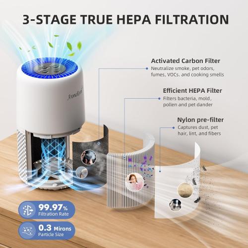 AromaRoom Air Purifier for Home, Air Cleaner for Smoke Pollen Dander Hair