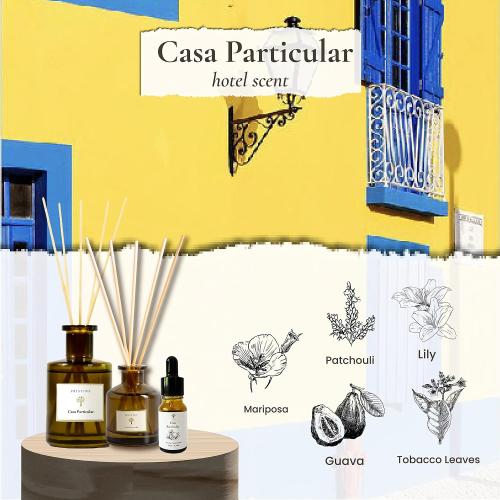 PRISTINE Casa Particular/Inspired by Wyndham Reed Diffuser for Home | Rich Blend of Tobacco Leaves, Sweetness of Guava Reed Diffuser Set, Oil & Reed Diffuser Sticks | Home & Office Decor