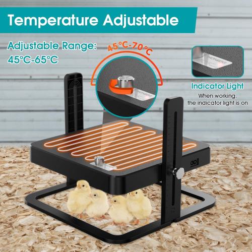 Upgraded Chick Heating Plate with Adjustable Height & Angle, Thermostatic Control Chick Warmer Pad for Enclosed Indoor Space – Ideal for Chicks, Ducklings, Quail, and Birds