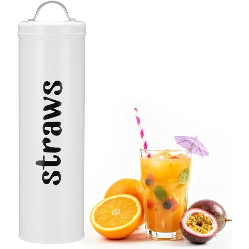 Metal Straw Holder with Handle Lid, 12 Inches Tall Drinking Straw Dispenser
