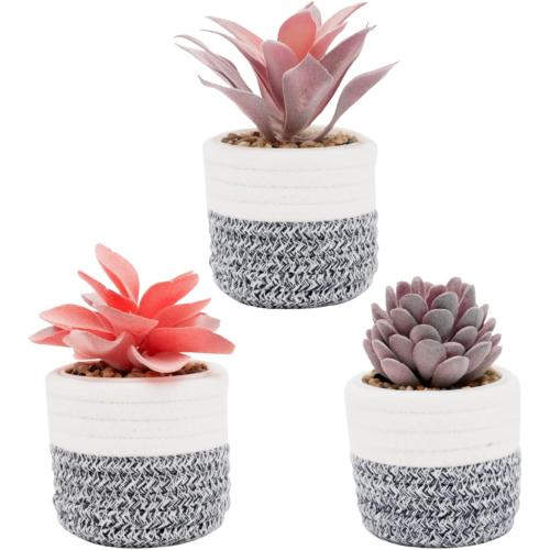 VIVERIE 3Pcs Fake Succulent Plants in Boho Removable Rope Basket Pot Set- Farmhouse Faux Cactus Plant for Home Decor Indoor Bedroom Bathroom Office Desk Shelf Boho Room Kitchen Decor and Accessories‼️missing 1 ‼️