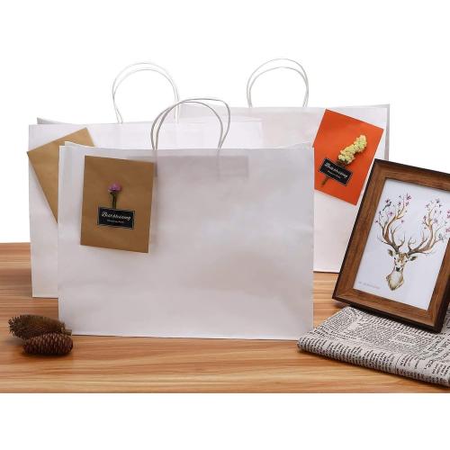 Large Kraft Paper Bags with Handles Bulk for Shopping,50 Pack,White