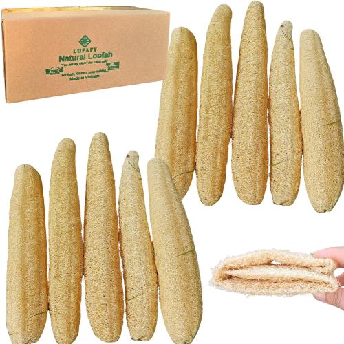 10 Pcs (7 – 10 Inches) Natural Loofah Sponge | Organic Loofah | Shower Loofah Exfoliating Body Scrubber | Bath for Loofah for Men and Women | (10 - Pack)