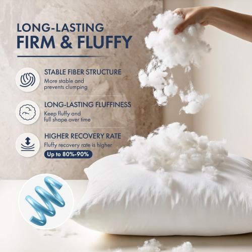 MIULEE Euro Pillow Inserts 2 Pack, Throw Pillows for Couch Bed