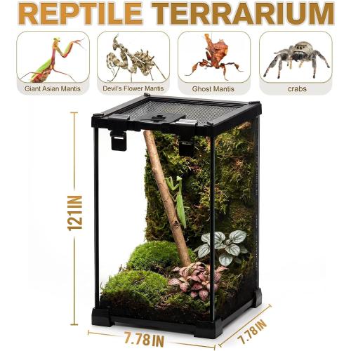 8x8x12 Escape-Proof Glass Terrarium, Top-Opening Vertical Vivarium for Small Arboreal Reptiles Such as Green Anoles, Full-View Tank with Escape-Proof Lock & Feeding Hatch