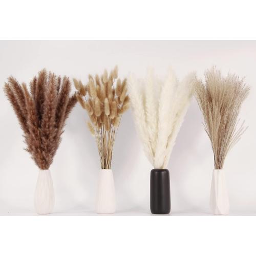 Dried Pampas Grass Decor, 100 Stems Pampas Grass Contains Bunny Tails Dried Flowers, Reed Grass Bouquet for Wedding Boho Flowers Home Table Decor, Rustic Farmhouse Party (17, White and Brown)