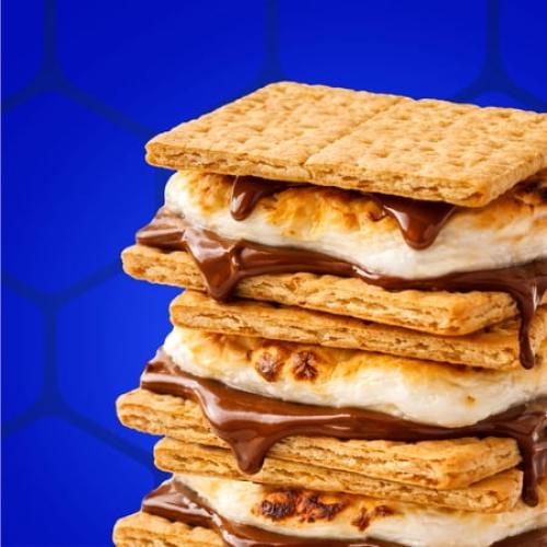 6pk HONEY MAID Graham Crackers, Lunch Snacks, Party Size, 12.8 oz