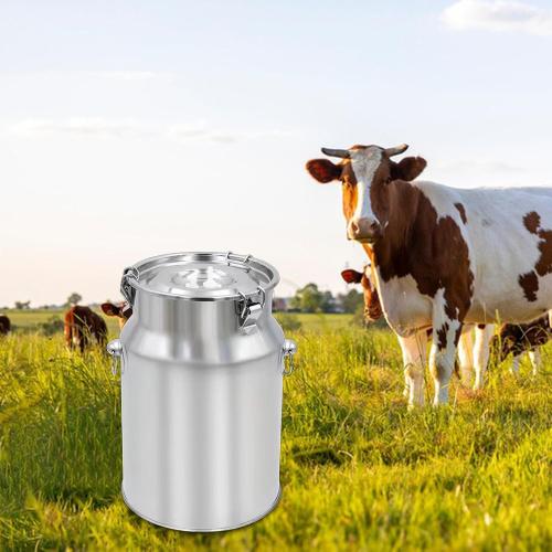 Stainless Steel Milking Machine Bucket with Lid, 10L Milk Can for Cow Sheep Goat Milking Equipment, Farm Milk Storage and Transport