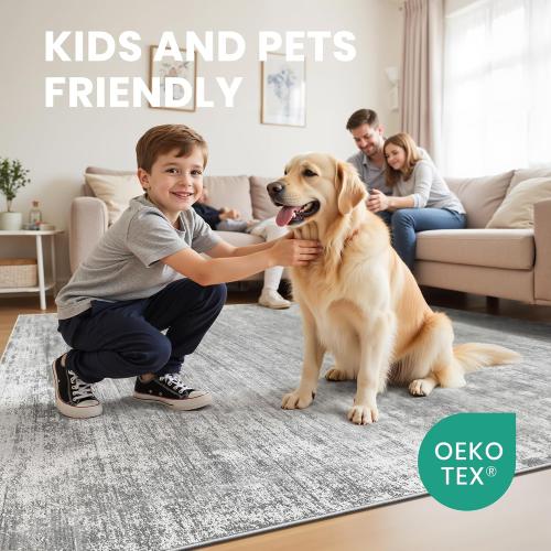 zesthome 5x7 Area Rugs, Modern Abstract Washable Rug for Living Room Grey
