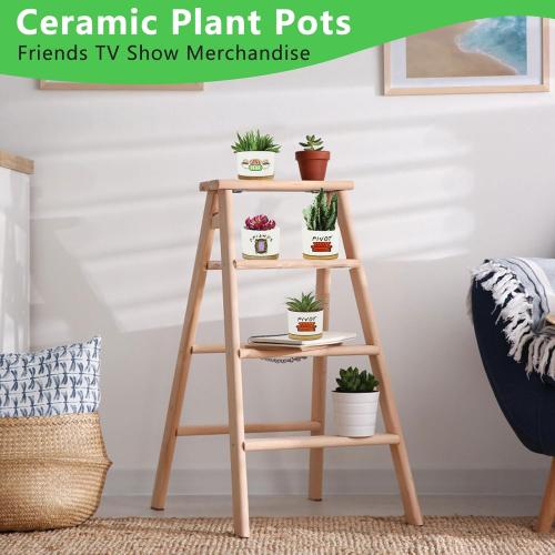 3 Pcs Friends tv Show Cute Merchandise Ceramic Plant Pots,Funny Friends Decor Themed Gifts for Women,for House Plants Garden Planters Succulent Pots(Not Included Plants)