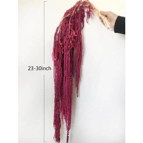5 Pcs Bleached Wisteria Vine Hanging Dried Flowers, Natural Preserved Hanging Amaranthus Flowers for Wedding Bouquet, Wall Home Party Decor (Wine Red)