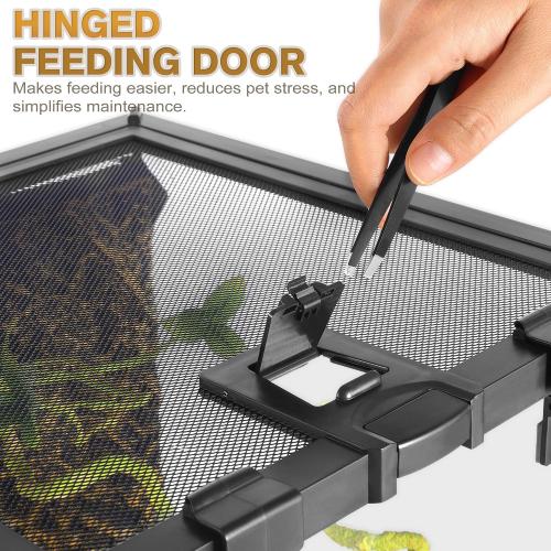 8x8x12 Escape-Proof Glass Terrarium, Top-Opening Vertical Vivarium for Small Arboreal Reptiles Such as Green Anoles, Full-View Tank with Escape-Proof Lock & Feeding Hatch