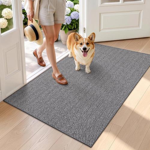 LUMI Ultra Thin Indoor Door Mat 36x56, Entrance Doormat, Gray