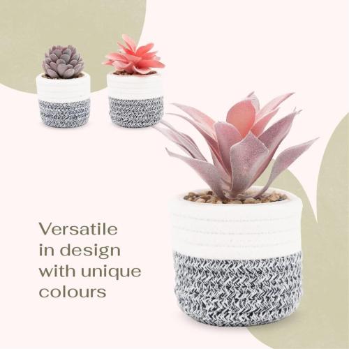 VIVERIE 3Pcs Fake Succulent Plants in Boho Removable Rope Basket Pot Set- Farmhouse Faux Cactus Plant for Home Decor Indoor Bedroom Bathroom Office Desk Shelf Boho Room Kitchen Decor and Accessories‼️missing 1 ‼️