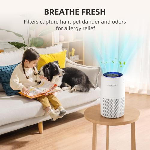 AromaRoom Air Purifier for Home, Air Cleaner for Smoke Pollen Dander Hair