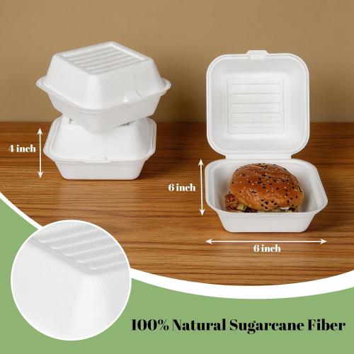 Lucklot 50 Pack 6×6 Inch White Compostable Bagasse Take Out Food Containers
