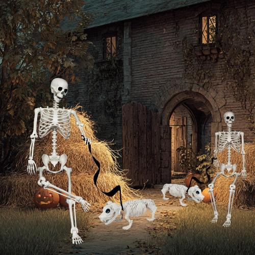 NEROSUN  Halloween Skeletons Decoration, Posable Life Full Size Skeleton with Dog Skeleton, Realistic Plastic Human Bones for Halloween Props Haunted House Graveyard Party Decor