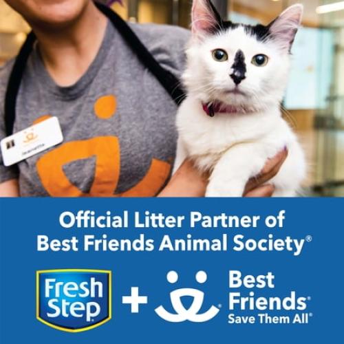 Fresh Step Clumping Cat Litter with Febreze Gain Scent, Long Lasting Odor Control Kitty Litter with Activated Charcoal, Low Dust Formula, 14 lb