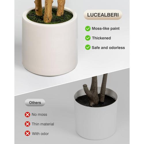 Artificial Fiddle Leaf Fig Tree in Modern White Planter, 5ft