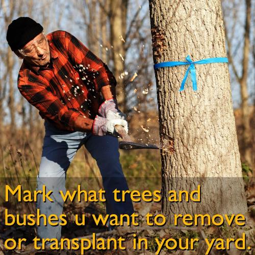 GUFJUCH 800FT Flourescent Flagging Tape, Non-Adhesive Plastic Ribbon Neon Marking Roll, for Tree Marking, Hunting Trail Tape, Boundaries and Hazardous Areas Marking, 8 Colors 0.78'' X 100'