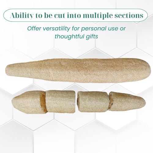 10 Pcs (7 – 10 Inches) Natural Loofah Sponge | Organic Loofah | Shower Loofah Exfoliating Body Scrubber | Bath for Loofah for Men and Women | (10 - Pack)