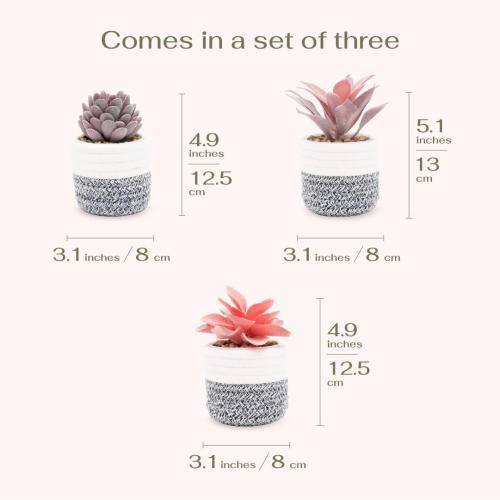 VIVERIE 3Pcs Fake Succulent Plants in Boho Removable Rope Basket Pot Set- Farmhouse Faux Cactus Plant for Home Decor Indoor Bedroom Bathroom Office Desk Shelf Boho Room Kitchen Decor and Accessories‼️missing 1 ‼️