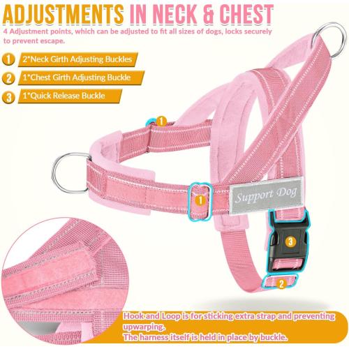 SlowTon No Pull Dog Harness and Leash Set - Heavy Duty, Soft Padded