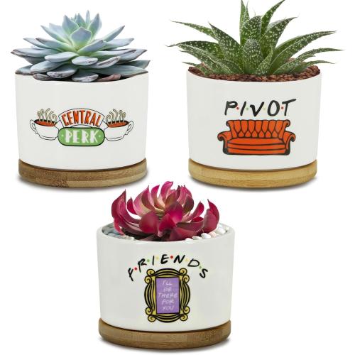 3 Pcs Friends tv Show Cute Merchandise Ceramic Plant Pots,Funny Friends Decor Themed Gifts for Women,for House Plants Garden Planters Succulent Pots(Not Included Plants)