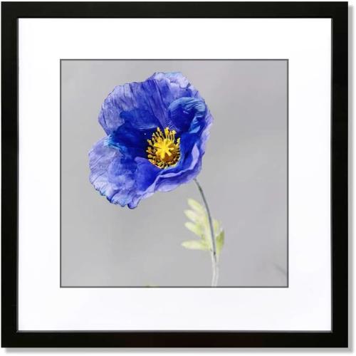 VNVNK 24x24 Frame Black, Perfect for 24x24 Inch Picture without Mat or 20x20 Inch Picture with Mat, Home Wall Decor Picture Frame-1 PCS