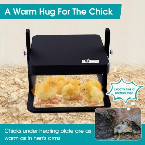 Upgraded Chick Heating Plate with Adjustable Height & Angle, Thermostatic Control Chick Warmer Pad for Enclosed Indoor Space – Ideal for Chicks, Ducklings, Quail, and Birds