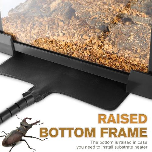 8x8x12 Escape-Proof Glass Terrarium, Top-Opening Vertical Vivarium for Small Arboreal Reptiles Such as Green Anoles, Full-View Tank with Escape-Proof Lock & Feeding Hatch