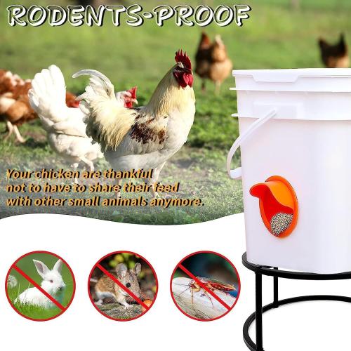 Sturdy Metal Stand for Chicken Feeder Waterer with Spill Design Easy Assembly Outdoor Rack Chicken Feeder Bracket