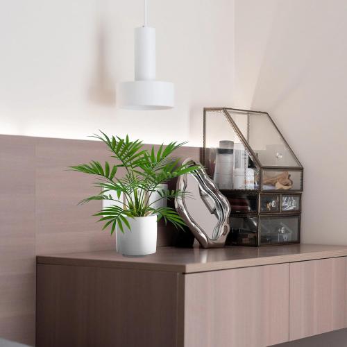 Artificial Palm Tree Plant, Potted Artificial Plant for Home Office Decoration, 12 Tall, Ships in White Ceramic Planter