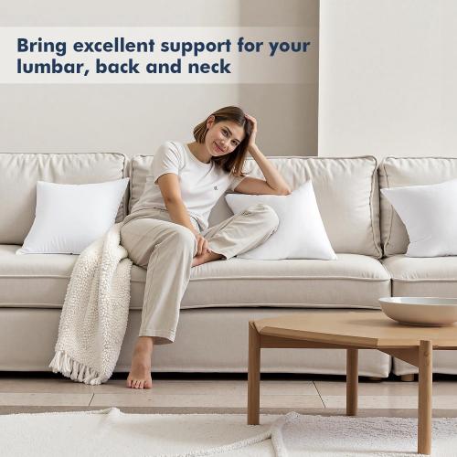 MIULEE Euro Pillow Inserts 2 Pack, Throw Pillows for Couch Bed