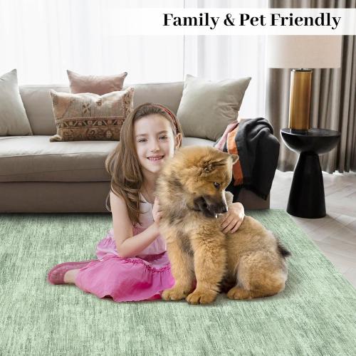 Area rug 8x10 green