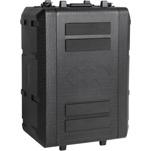 Diandian 4U Rack Case Shallow 11 Depth, 19 Rackmount Flight Case, Watertight Dust-Proof, Shock Mount for Amplifier, Pro Audio, DJ Mixer, Effects with Microphone Compartments