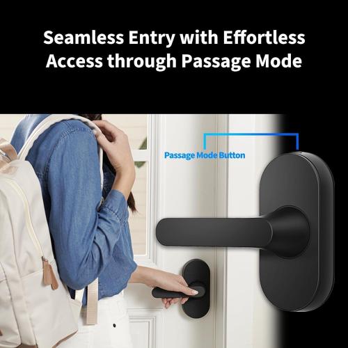 Aqara Smart Lock with Handle U300, Apple Home Key, Smart Lever Lock, Black